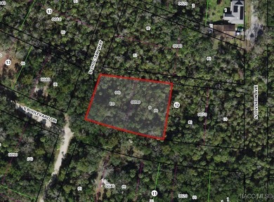 Homosassa River Lot For Sale in Homosassa Florida