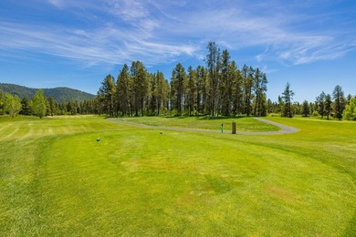 Build your dream home on a premium golf course lot with - photo 25