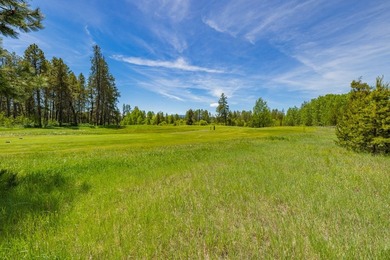 Build your dream home on a premium golf course lot with - photo 26