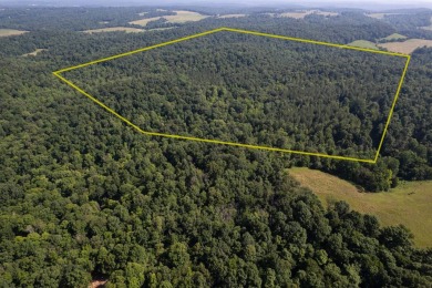 (private lake, pond, creek) Acreage For Sale in Olaton Kentucky