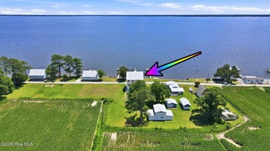 Spectacular Neuse River Waterfront Home with Elevator, Private - photo 43