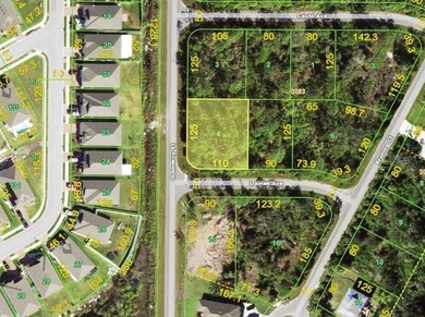 Port Charlotte Waterway Area Lot For Sale in Port Charlotte Florida