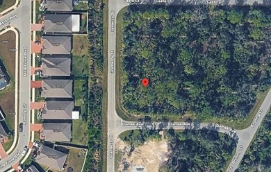 Build your Florida home on this vacant residential lot located - photo 4