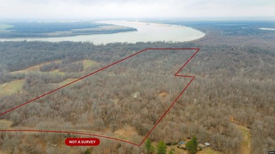 Mississippi River Acreage For Sale in Henning Tennessee