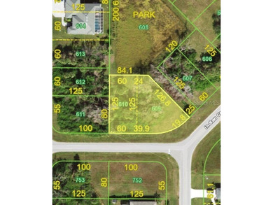 Build your dream home on this oversized lot in Rotonda Heights! - photo 1