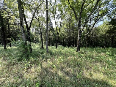Lot 176 - Discover your dream property in the prestigious - photo 14