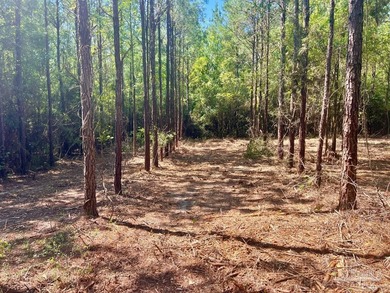 Discover the beauty of NatureWalk at Pond Creek, one of the most - photo 17