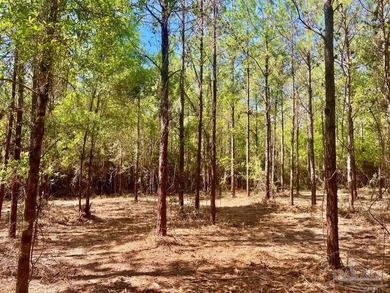 Discover the beauty of NatureWalk at Pond Creek, one of the most - photo 19