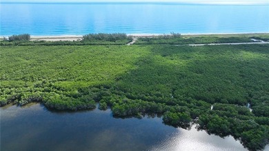 This unique opportunity features 7 permitted, exceptionally wide - photo 19