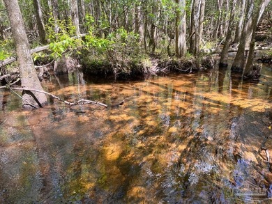Discover the beauty of NatureWalk at Pond Creek, one of the most - photo 21