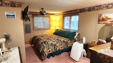 Gorgeous Swan Lake property with 202' frontage and dock located - photo 25
