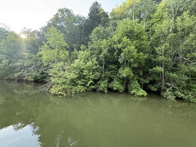 Lot 176 - Discover your dream property in the prestigious - photo 28