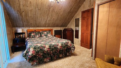Gorgeous Swan Lake property with 202' frontage and dock located - photo 28