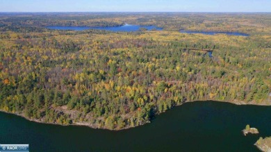 Little Fork River Acreage For Sale in Cook Minnesota