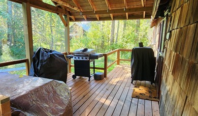Gorgeous Swan Lake property with 202' frontage and dock located - photo 34
