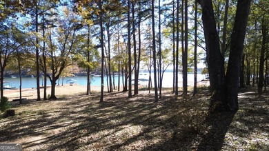 This Lake Hartwell home is just 10 minutes from I-85 with easy - photo 5