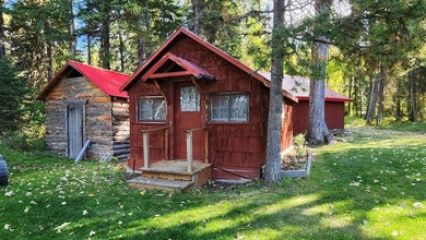 Gorgeous Swan Lake property with 202' frontage and dock located - photo 35