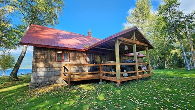Gorgeous Swan Lake property with 202' frontage and dock located - photo 36