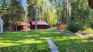 Gorgeous Swan Lake property with 202' frontage and dock located - photo 37