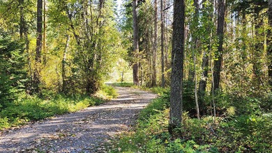 Gorgeous Swan Lake property with 202' frontage and dock located - photo 42