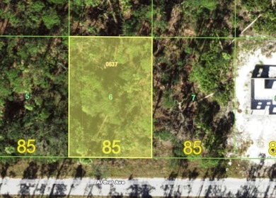 Port Charlotte Waterway Area Lot For Sale in Port Charlotte Florida