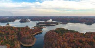 Lake Lot For Sale in Gainesville, Georgia