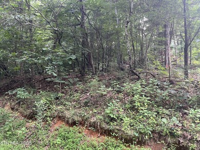 Escape to East Tennessee: Stunning Mountain-View Lot Ready for - photo 2