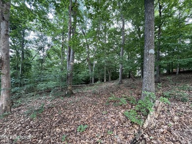 Escape to East Tennessee: Stunning Mountain-View Lot Ready for - photo 3
