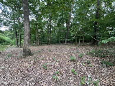 Escape to East Tennessee: Stunning Mountain-View Lot Ready for - photo 4