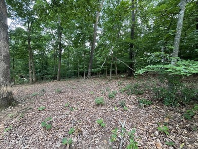 Escape to East Tennessee: Stunning Mountain-View Lot Ready for - photo 5