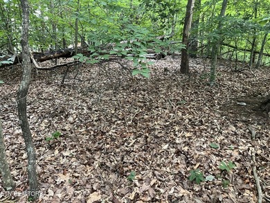 Escape to East Tennessee: Stunning Mountain-View Lot Ready for - photo 7