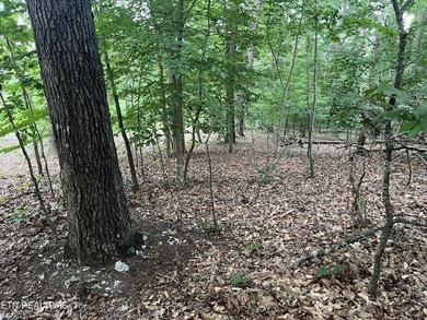 Escape to East Tennessee: Stunning Mountain-View Lot Ready for - photo 8