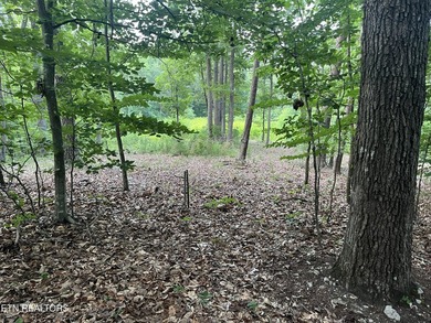 Escape to East Tennessee: Stunning Mountain-View Lot Ready for - photo 9