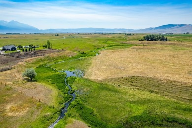 (private lake, pond, creek) Acreage For Sale in Charlo Montana