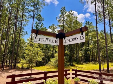 Discover the beauty of NatureWalk at Pond Creek, one of the most - photo 12
