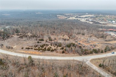 ZONED B-2 is this 24.17 acres that adjoins the Ozarks - photo 22