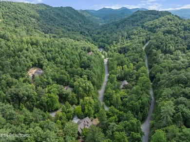 Nestled in the picturesque mountain community of Kinzel Springs - photo 9
