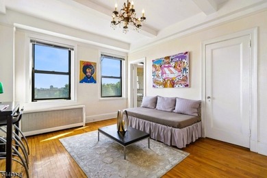 Experience timeless elegance and breathtaking NYC views in this - photo 17