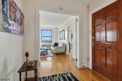 Experience timeless elegance and breathtaking NYC views in this - photo 21