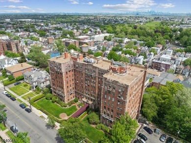 Experience timeless elegance and breathtaking NYC views in this - photo 24