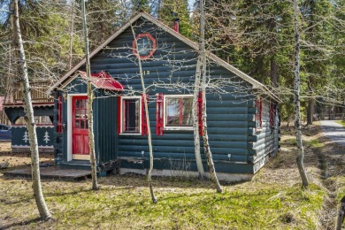 Lake Home For Sale in Mccall, Idaho