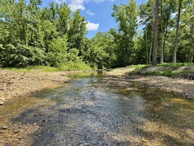 Lake Acreage For Sale in Melbourne, Arkansas