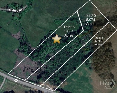 (private lake, pond, coastal) Acreage For Sale in Homer Georgia