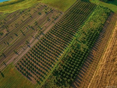 Behind a lush privet hedge, this expansive 102+ acre waterside - photo 28