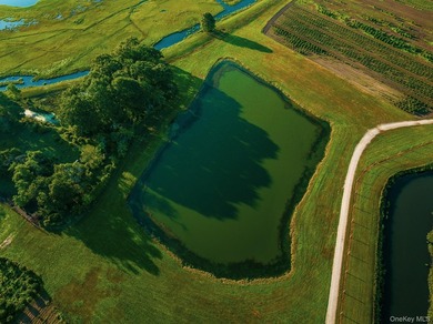 Behind a lush privet hedge, this expansive 102+ acre waterside - photo 29