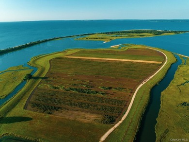 Behind a lush privet hedge, this expansive 102+ acre waterside - photo 30