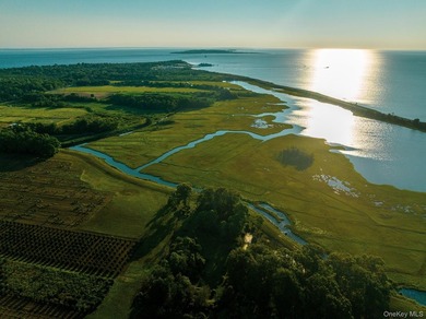 Behind a lush privet hedge, this expansive 102+ acre waterside - photo 31