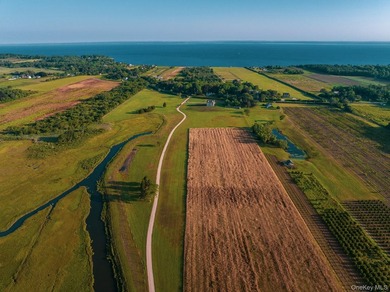 Behind a lush privet hedge, this expansive 102+ acre waterside - photo 32
