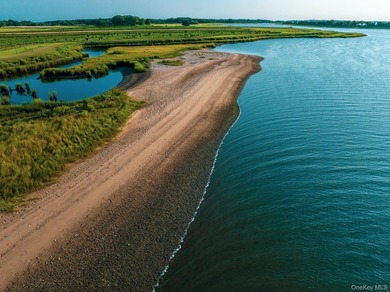 Behind a lush privet hedge, this expansive 102+ acre waterside - photo 36