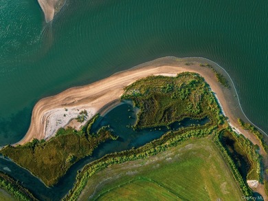 Behind a lush privet hedge, this expansive 102+ acre waterside - photo 38